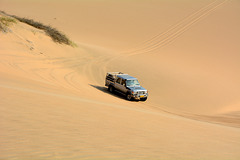 Namib Desert, Steep Turn on the Sand of a Dune