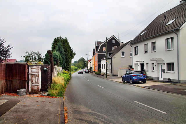 Bövinghauser Hellweg (Bochum-Gerthe) / 3.08.2024