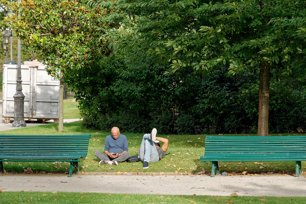 Et les bancs, c'est pour les chiens ?