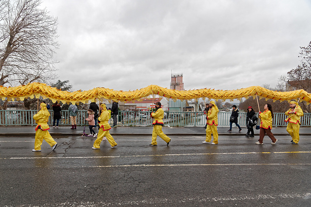 Un long dragon sur un pont