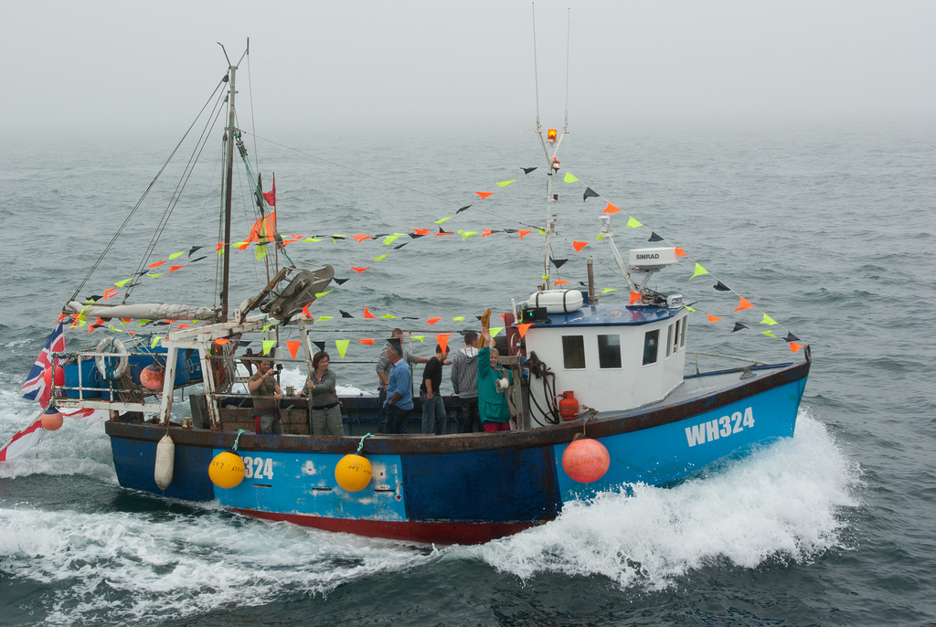 Mounting the bow wave - Mevagissey boat races