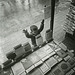 kid in bookstore window