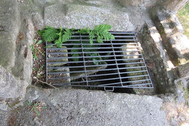 st cleer's holy well, cornwall (4)