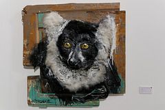 "Black and White Ruffed Lemur"