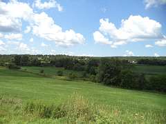 Customs landscape / Paysage douanier