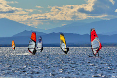 P1400629- Planches à voiles - Etang de Leucate.  04 novembre 2021