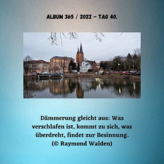 Album 365 / 2022 - Tag 40.