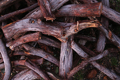 Iom da frosto Iom da frosto