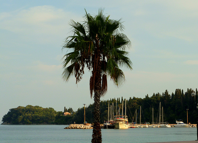 Corfu: Looking towards Dassia from Ypsos