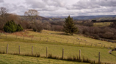 Welsh landscape3