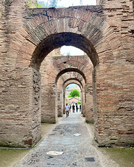 Rome 2025 – Forum Romanum