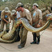 Animais do Pantanal