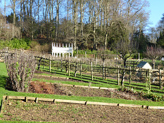 Painswick Rococo Garden (22) - 19 January 2020