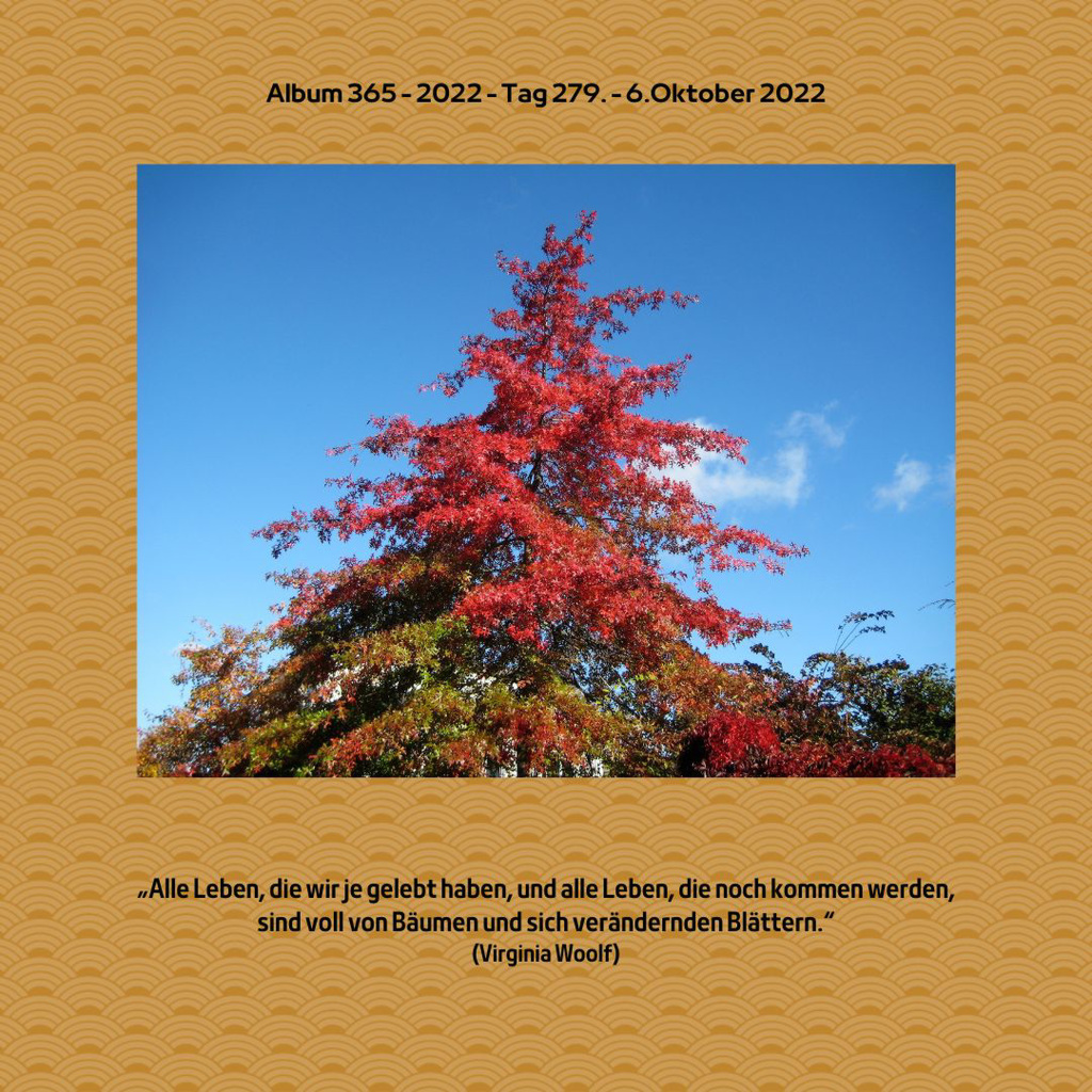 Album 365 - 2022 - Tag 279. - 6.Oktober 2022