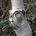 Baum-Detail