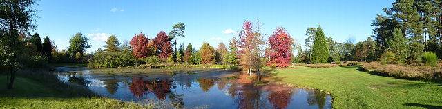 Arborétum des Grandes Bruyères...