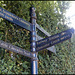 Beaumont Street signpost