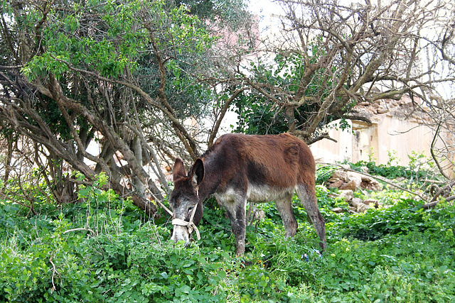 Une belle rencontre.