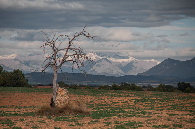 "Un beau soir l'avenir s'appelle le passé. C'est alors qu'on se tourne et qu'on voit sa jeunesse"...........Aragon..