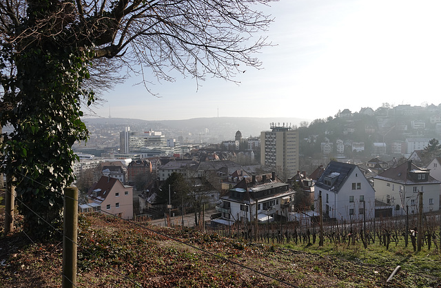 Stuttgart zwischen Wald und Reben