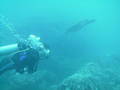 PICT0099.JPG