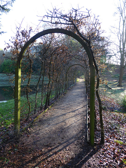 Painswick Rococo Garden (24) - 19 January 2020