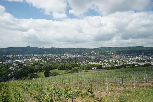 View Over Trier