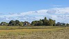 Bosham, West Sussex