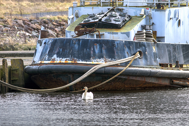 Swan and Tugboat