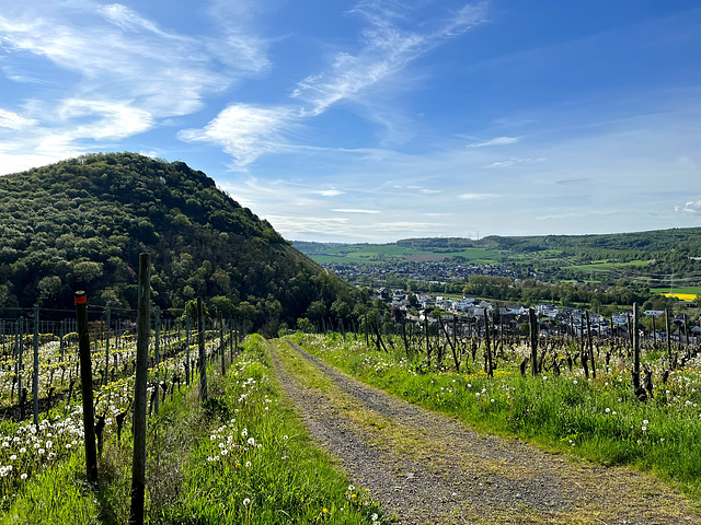 Blick zur Landskrone