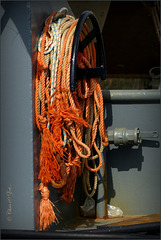 Orange Ropes...