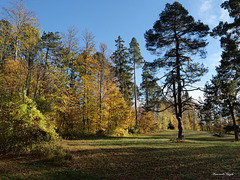 Herbstfarben