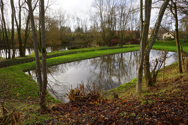 Fischteich in Elbingerode