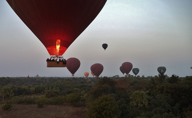 Balloons Over Bagan