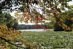 Greenbelt Lake