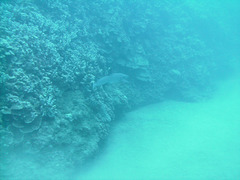 PICT0096.JPG