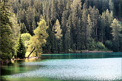 Idylle am Davosersee