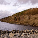 Llyn Celyn2