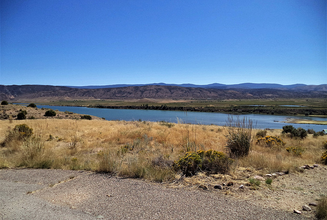 Henry's Fork Wetland area (3) Henry's Fork Wetland area (3)