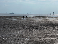 Low tide #1