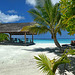 Paradise Island relax - Maldive