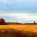 Autumn landscape in Michigan