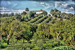 Valle del Guadiaro