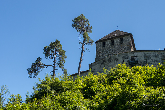 Turm von der Burg Hohenklingen von Hinten