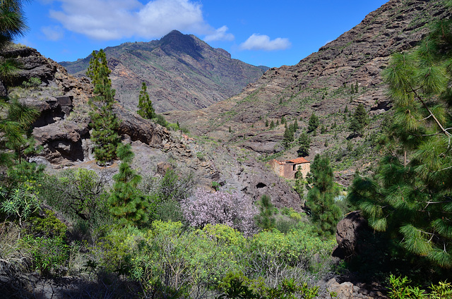 verlassene Finca