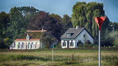 DSCF5007