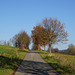 Dezembersonne an der "Berliner Straße"