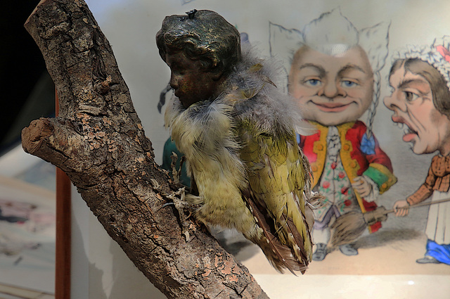 Monstrueux et effrayant , une tête d'enfant fixée sur le corps d'un oiseau .....