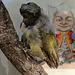 Monstrueux et effrayant , une tête d'enfant fixée sur le corps d'un oiseau .....