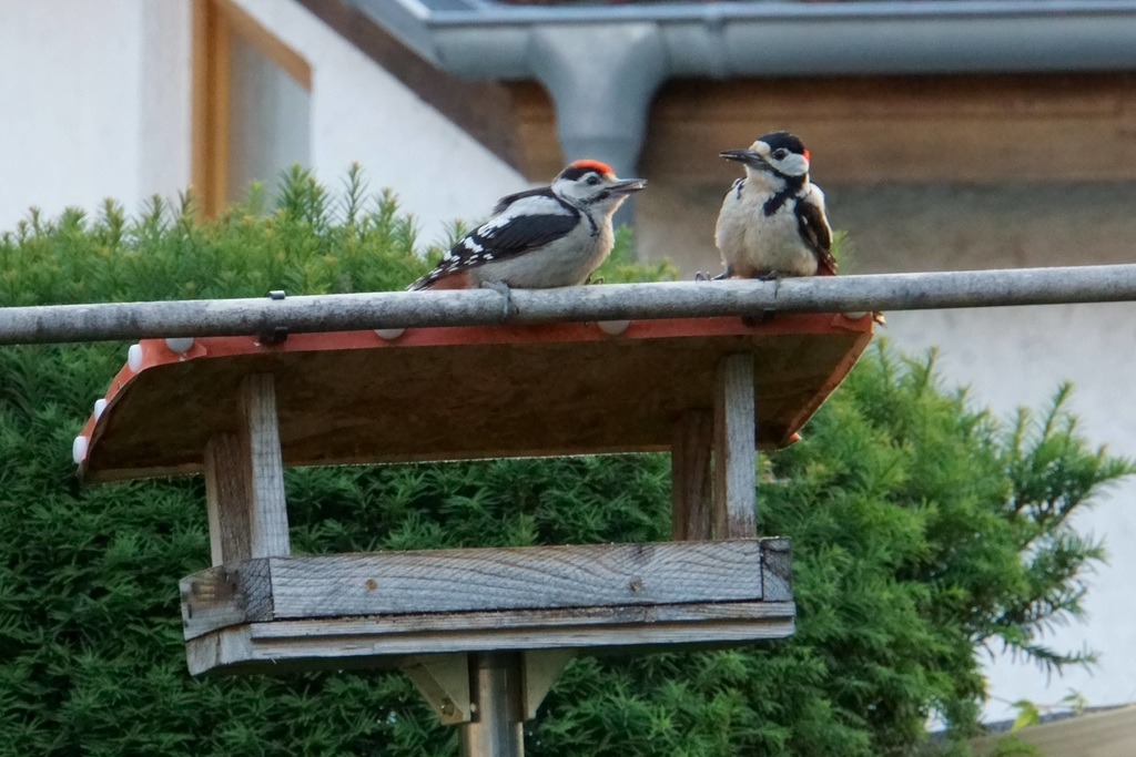 Vater und Sohn